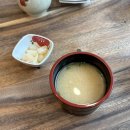 (주)메디모어 | [수원/영통] 좋은소식, 5년 단골 인생 최애 맛집 추천 혼마구로동 사케동 시로미동 후기