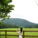 명랑목장 이미지