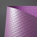 두성