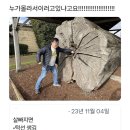 데프짐 이미지