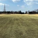 아난티CC 이미지