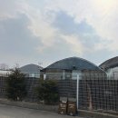 엑셀로이콰인알앤디쎈터 | 경기 성남 엑셀로이콰인 R&amp;D센터 - 강남에서 가까운 승마장, 30개월 아기 어린이 승마체험 후기