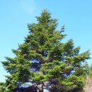 소리구상 이미지