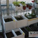 텃밭가꾸기 이미지