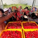 대금농장 이미지