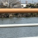 베니아펜션 이미지