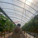 태광농장 이미지