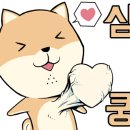 놀러와양꼬치 이미지