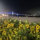 1797 | 경기도 박물관 특별전 '혼자 보긴 아까워서' - 2편 기증 유물에 담긴 사람들의 이야기