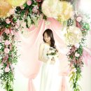 스튜디오오즈 이미지