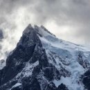 리코(rico) 이미지