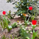 제주보홀 이미지