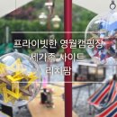 둥지 | 영월 프라이빗 캠핑장 리치팜 3가족 전용, 계곡까지 완벽한 후기