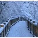 인후공원(배수지) 이미지