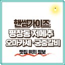 NR-6[종로]-상-394 | 핸썸가이즈 평창동 저메추, 해산물오마카세 숙성회·궁중갈비 맛집, 구르메·북악정 정보