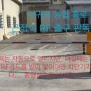 서귀포농업협동조합홍로지점 이미지