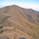 구남천 | 김천 석교산