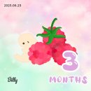젠더리빌 뜻 이벤트 방법 후기 케이크 떡 풍선 복권 추천