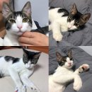 수영사우나 이미지