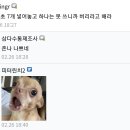 장례식장 500원 내도 고소안당하지? 이미지