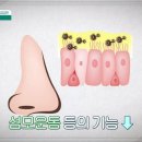 아주시원한이비인후과