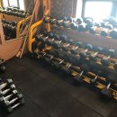 레몬핏 휘트니스 이미지