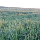 정호진농장 이미지