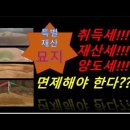 풍수지리(음택, 묘지) Daum카페