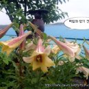 별이네농장 이미지