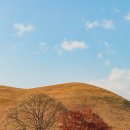 [경북/경주] 경주명소 대릉원, 첨성대, 문무대왕릉 방문 후기 / 여행 사진 기록