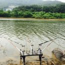 민물천국 이미지