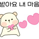 시흥탑애견미용학원