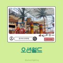 여름보다 더 재미있게 놀고 온 오션월드 겨울 시즌 후기(ft.준비물과 꿀팁)