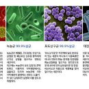 (주)환경닥터 이미지