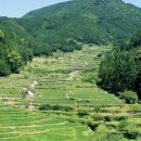 신시로-7 이미지