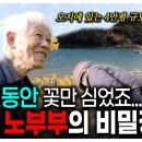 아무도 오지 않는 섬에 노부부가 꽃을 60년 동안 심게된 사연? | KBS 다큐온 210430 이미지