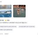 25초에서 24초까지, 단 1초를 줄이기 위한 노력… 성인 수영이 왜 특별한지 아시나요?