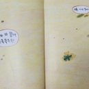 현대리나유치원 이미지