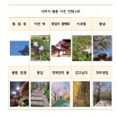 서여치 봄꽃사진 컨테스트 'Spring garden' 이미지