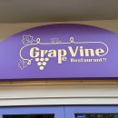 그레이프바인 이미지