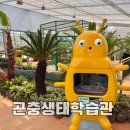 동물식물 생태 체험교실 | 의령 곤충생태학습관 리뉴얼 재개관 창원근교 아이와 가볼만한곳