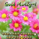 Just Someone I Used to Know- 돌리 파튼 과 포터 워거너/Eminem - Lose Yourself 이미지