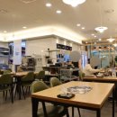 최씨고집 이미지