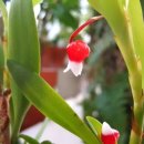 티지나SM 이미지