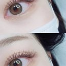래쉬스토리