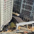 사남초정문 이미지