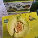 춘천원예농업협동조합 네이버블로그