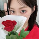 조아(ZOA) 이미지