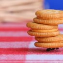 (주)쎈놈 이미지