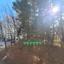 초당부동산공인중개사사무소 이미지